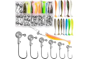 Annyswit 58 Piezas / 6 Tamaños Cabezas de Jig con Señuelos de Goma 10g/7g/5g/3,5g/1,8g/1g Anzuelos de Pesca con Bolas de Plomo Redondas Señuelos Blandos Realistas Bicolor para Agua Dulce Salada