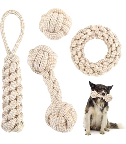 Trixie Honingraat Bal Aan Touw Tpe slechts € 20,97 voor 6x23 Cm 3 St
