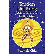 Fusion of the Five Elements: Meditations for Transforming Negative