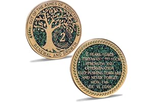 LParkin Pièce de sobriété de 2 ans, pièce arbre de vie, médaillon de récupération AA, jeton d'anniversaire de sobriété, médaillon alcooliques anonymes