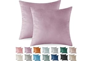 Ystyle Funda Cojin 40x40 de Terciopelo Juego de 2 Funda de Almohada del Sofá Decorativas con Cremallera Invisible Suave y Lavable Antiácaros Transpirable Hipoalergénico para Cama, Morado