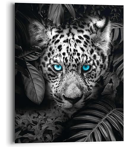 REINDERS Arcane Poster 61x91,5cm - Hochwertiger Druck Auf Bilderdruckpapier