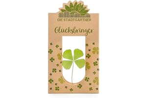 Die Stadtgärtner Glücksbringer I Echtes vierblättriges Kleeblatt zwischen Glasscheiben | Geschenk für Glück & als Mutmacher | Handgemacht in Deutschland