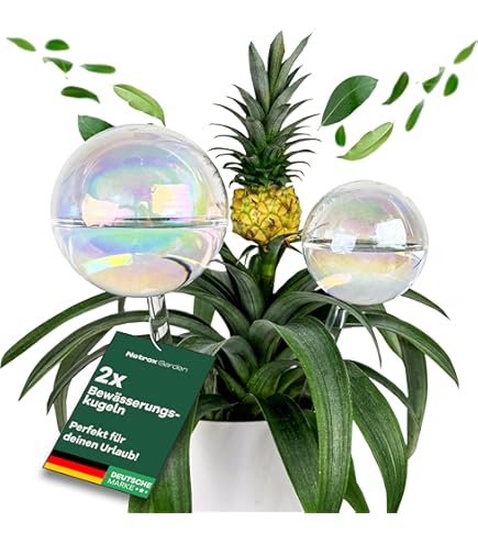 STARVAST 6 Bewässerungskugeln - Glas Pflanzenbewässerung Für Urlaub & Alltag