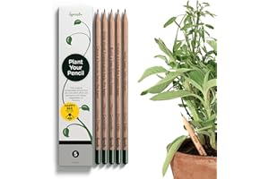 ‎SPROUT Sprout | Happy Bee Edition | Einpflanzbare Graphitstifte mit Samen in zertifiziertem Holz | Nachhaltiges Geschenk für Bienen und Natur | 5er-Pack