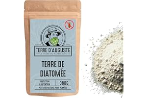 TERRE D'AUGUSTE LA TERRE DU PATRIARCHE DEPUIS 1920 Terre d'Auguste Terre de Diatomée Alimentaire - Anti Punaise de Lit - Insecticide Biologique - Sac Refermable