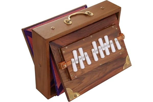 Shruti Box Raga Mini Professionnel en Teck - Gamme de Do à Do (3 à 4), 30 x 22 x 8,5 cm, 2 kg, Accordage 440 Hz