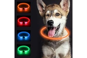 SONNIG LED Collier Lumineux Chien, Collier Chien Lumineux Rechargeable et Réglable avec 3 Modes D'éclairage, sans Danger pour Les Chiens de Petite, Moyenne et Grande Taille la Nuit, Orange