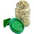 Sprout Me Multi Use Sprouts Maker Box - Glass Mason Jar With Mesh Lid For All Seeds & Beans, Sprouts Making Box With Built In Drainage Stand, 720Ml - Transparent