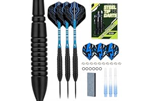 WayArrival Steeldarts Set 22g – Premium Nickel-Silber Barrels (Schlanker als Messing) – Profi Dartpfeile mit Metallspitze für Sisal-Dartscheibe – Inkl. Schleifstein, 6 Ersatz-Flights & Schäfte, Etui