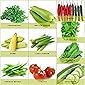 Leafy Tales Organic Vegetable Seed for Kitchen Garden 10 Varieties - 900+ Seeds (Seed - 10)