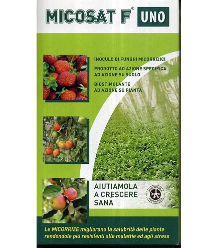 IN GREEN SAFE - Micorrize Frame 500 grammi