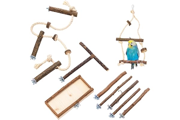Kit de 10 accessoires de base pour cage avec des perchoirs, balançoires nature, planches, barres et cordes pour les cages des perruches, calopsittes & autres| accessoires pour cages à oiseaux