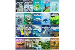 Children Introduction to Nature and Geography 20 Book Collection Set: (Bears, Big Cats,Crocodiles and Alligators,Coral Reefs,Deserts,Grasslands)