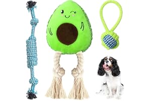 Sqinor Giochi per Cani Squeak Interattivi, Resistenti Peluche per Cani, Farciti Giocattoli per Cani Grandi Media e Piccoli (Verde (Set di Giocattoli Cani con Avocado))