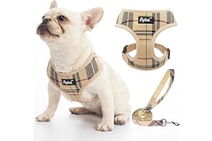 PUPTECK Dog Harness Small Dog Soft Mesh Pet Puppy Cat Comfort Padded Vest No Pull Harnesses and Leash Set