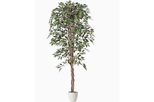 TRADALA ARTIFICIAL TREES Tradala 4'11" Lush Artificial Tree in White Pot - Ficus 150cm / 4ft 11" Tall with Real Wood Trunk - For Home Living Room Indoors