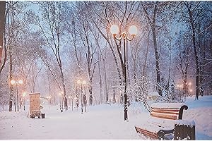 ‎JANDEI JANDEI - Dekoratives Bild mit LEDs (verschiedenen Bilder) (Verschneiter Park 60x40 cm)