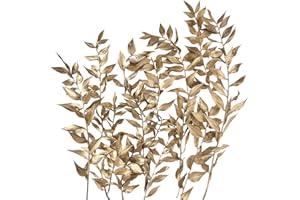 RUGBOL Dried Flowers, Dried Ruscus, Dry Dried Flowers Crafts for Diy Arts Resin Scrapbooking Jewelry Making Floral Decorations Cupcake Decorating (Gold)