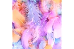 HMKESOTERIC 600 Pcs Plumas Manualidades, Plumas Decoracion, Plumas de Colores, Plumas Decoración de Colores, Plumas de Ganso Naturales para Decoración de Bodas Atrapasueños Carnaval Cumpleaños