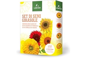 LERAVA® Semi Girasoli (4 varietà) - Girasole gigante rosso giallo nano Sungold - Facile coltivazione per giardino - Semi di girasole da piantare per fioriture ricche e colorate