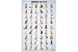 HLLNWB Katzenrassen Poster Typen von Katzen Poster Katze der Welt, lustiges Katzenliebhaber-Poster (ungerahmt, 40,6 x 61 cm)