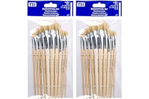 ‎TSI TSI 49032 TSI Borstenpinsel-Set 10 teilig (2 Packungen ? 10 Pinsel)