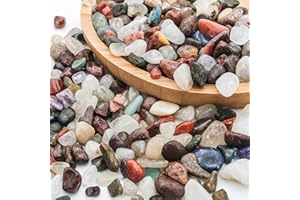 Coco Berming Edelsteine Set, 900g Bunte Trommelsteine, Mineralien Dekosteine, Multicolor 9-12mm, Dekorative Aquarien, Blumentöpfe, DIY Potted Plants, Garten, Vasen