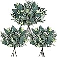 Winlyn 20 Pcs Mixed Eucalyptus Leaves Stems Bulk Artificial Oval Eucalyptus Leaves with White Seeds Stems and Eucalyptus Leaves Sprays for Vase Floral Wreath Bouquets Wedding Greenery Decoration