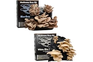 Urban Farm-It - XL Mixed Bundle Oyster Mushroom Growing Kits (Blue-Grey & White) | Grow Your Own Mushrooms Kit That Includes Instructions and Grow Environment, Fantastic Indoor Gardening Kit