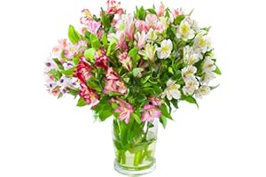 SENDABUNCH 20 Stem Beautiful Alstroemeria Bouquet Comes With Our 8 Day Freshness Guarantee.