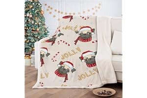 DJY Pug Throw Blanket Reversible Christmas Pug Dog Printed Sherpa Blanket for Kids Child Adults Soft Warm Microfiber Throw Blanket for Bed, Couch, and Travel 150x200cm