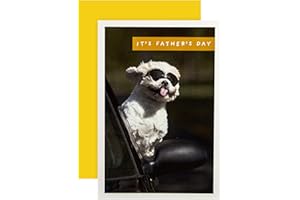 Hallmark Fathers Day Card, Funny Fathers Day Card, Photographic Dog in Sunglasses, Studio Ink, Dad, Grandad, Step Dad