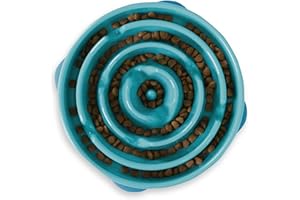 Outward Hound Fun Feeder Slo-Bowl - Ciotola anti-ingozzamento per cani - grande - turchese