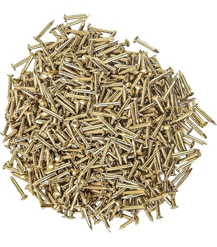 QUARKZMAN 80 Pcs Petits Clous 2,8mmx15mm(DxL) Petits Clous