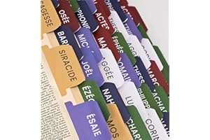 TEENA WORDS OF POWER 80 onglets bibliques en français en version catholique, protestant et témoin de Jéhovah – séparateur pour Bible aux couleurs liturgiques, marque-page, étiquette chrétien (Bible catholique)