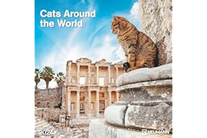 N NEUMANNVERLAGE Cats Around the World 2024 - Wand-Kalender - Broschüren-Kalender - 30x30 - 30x60 geöffnet - Katzen-Kalender