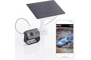 WHITEHORSE Bird House Camera - Wireless and Solar Powered - Take Photos and Videos From Your Phone (Free App) - Get Notified When a Bird Is Detected - 32GB Memory Card Included