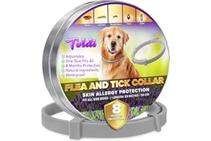 Collier pour Chien Petit, Moyen et Grand - Traitement Anti-puces et Anti-tiques - Ajustable et imperméable - Protection de 8 Mois - 58 cm - Gris - Toldi