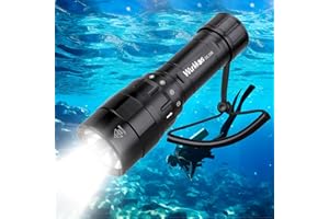 Wurkkos DL10R Dive Light - 4500 Lumen Super Bright Underwater Flashlight with Magnetic Rotary Switch 100m Diving Depth Scuba Dive Light,IPX-8 Waterproof,100000 Hours Lifespan Charger for Under Water
