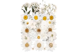 YoothBro White Dried Pressed Flowers for Resin Molds,Real Natural Pressed Flowers for DIY Art Crafts,Candle Making, Nails Décor,Soap Making, Phone Case