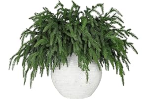 LAELFE 84 ramas de pino de Norfolk de tacto real, ramas de plantas verdes artificiales, tallo de cedro falso, púas de pino para jarrón, manualidades, corona, decoración del hogar (46 cm)