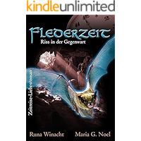 Flederzeit - Riss in der Gegenwart (Zeitreise-Roman): 2