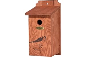 dobar Nido con motivo serigrafato cinciale