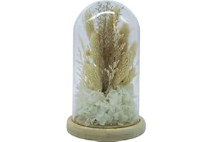 HEITMANN DECO Suszone kwiaty w szklanym dzwonku, naturalne/białe, ok. 12 x 12 x 20 cm