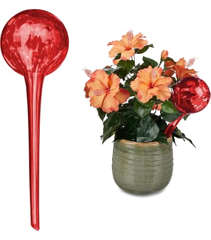 Bimhayuu - Globes Arrosage Automatique Pour Plantes - 2 Pièces - Verre Borosilicate - Goutte à Goutte