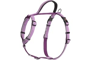 COMPANY OF ANIMALS HALTI Walking Harness, Size Medium, Purple, Best Lightweight Dog Harness with Handle, Reflective & Adjustable, Ideal for Puppy Walks, For Small, Medium & Large Dogs