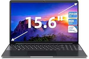 SGIN 15.6 Pollici Computer Portatile, 8GB DDR4 256GB SSD PC Portatile, Notebook con Intel Celeron Processore, USB3.2 * 2, Bluetooth5.0, 2.4G/5G WiFi, IPS HD Schermo, Tipo-C, Batterie 53200mWh