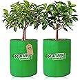 SCOTMEN Terrace Gardening Fruit Tree Grow Bag 18"x18" - Pack of 2 Green Grow Bag Plants Bags Big Size