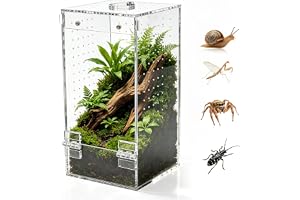 Homtone Akrylterrarium, insektterrarium, hoppspindel, terrarium, snigelterrarium med magnetdörr och foderöppning, lämplig för